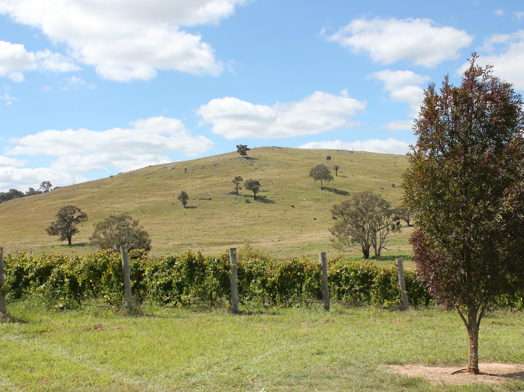 Dionysus Winery景点图片