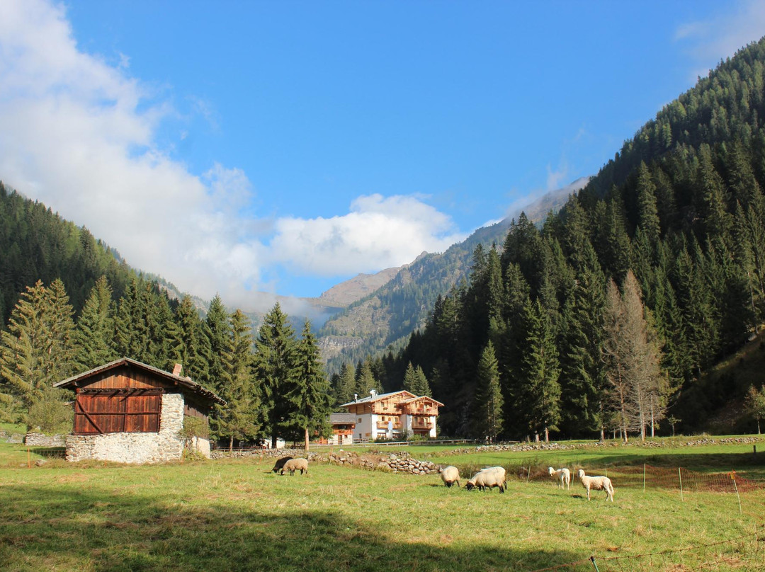 Rabbi酒店住宿-Albergo Ristorante Bar Al Fontanin