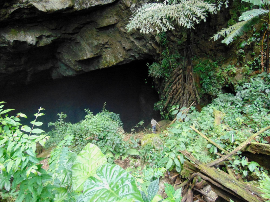Pha Phueng Cave景点图片