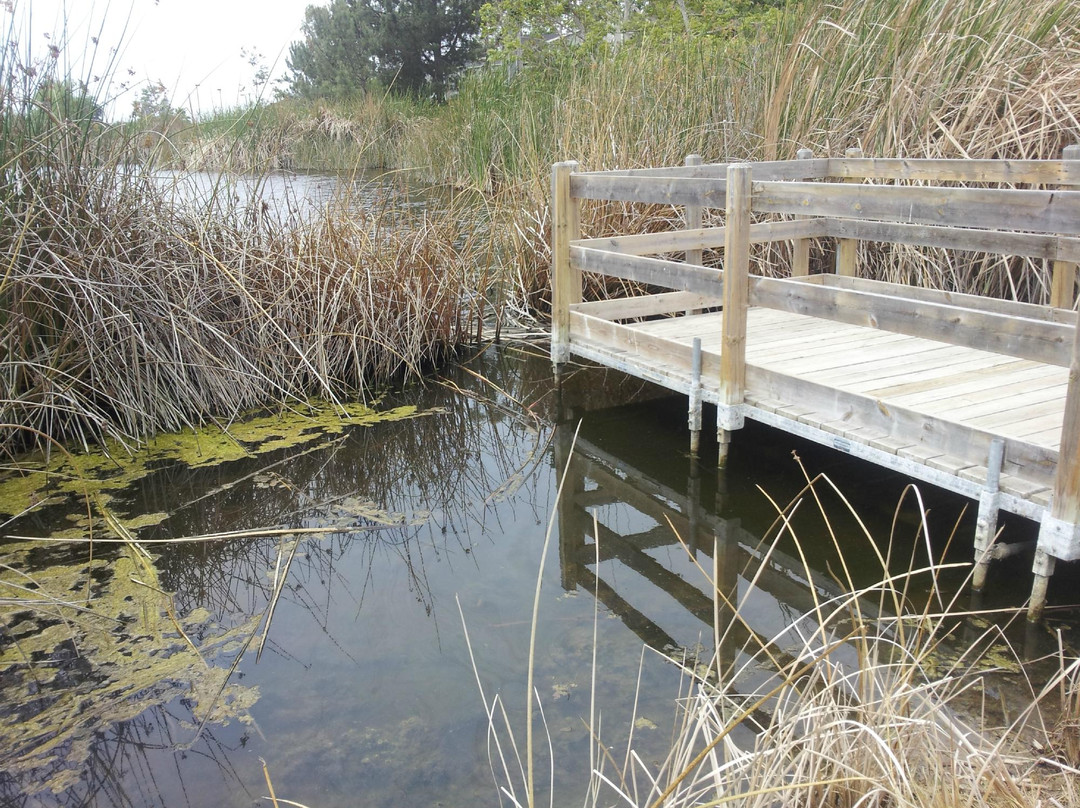 Buena Vista Audubon Society & Nature Center-欧申赛德必去景点