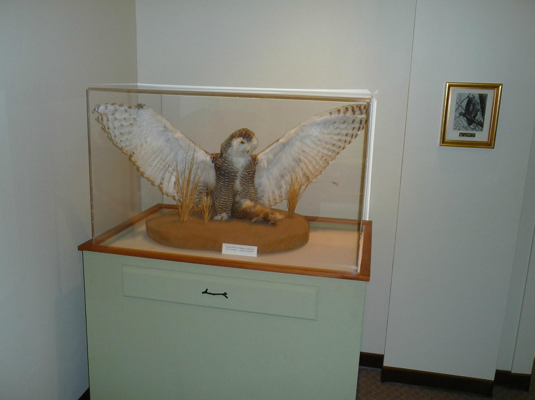 XIT Museum-Dalhart必去景点