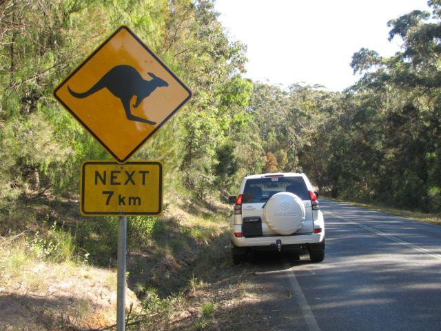 Terrific Tours Sydney-悉尼必去景点