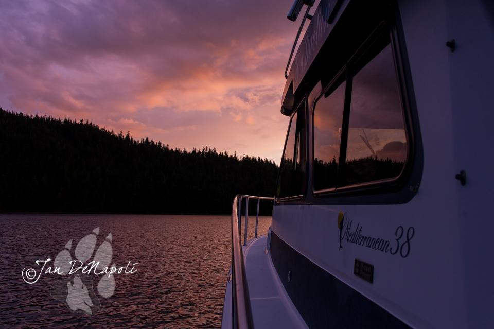 G'day Charters, LLC-瓦尔迪兹必去景点