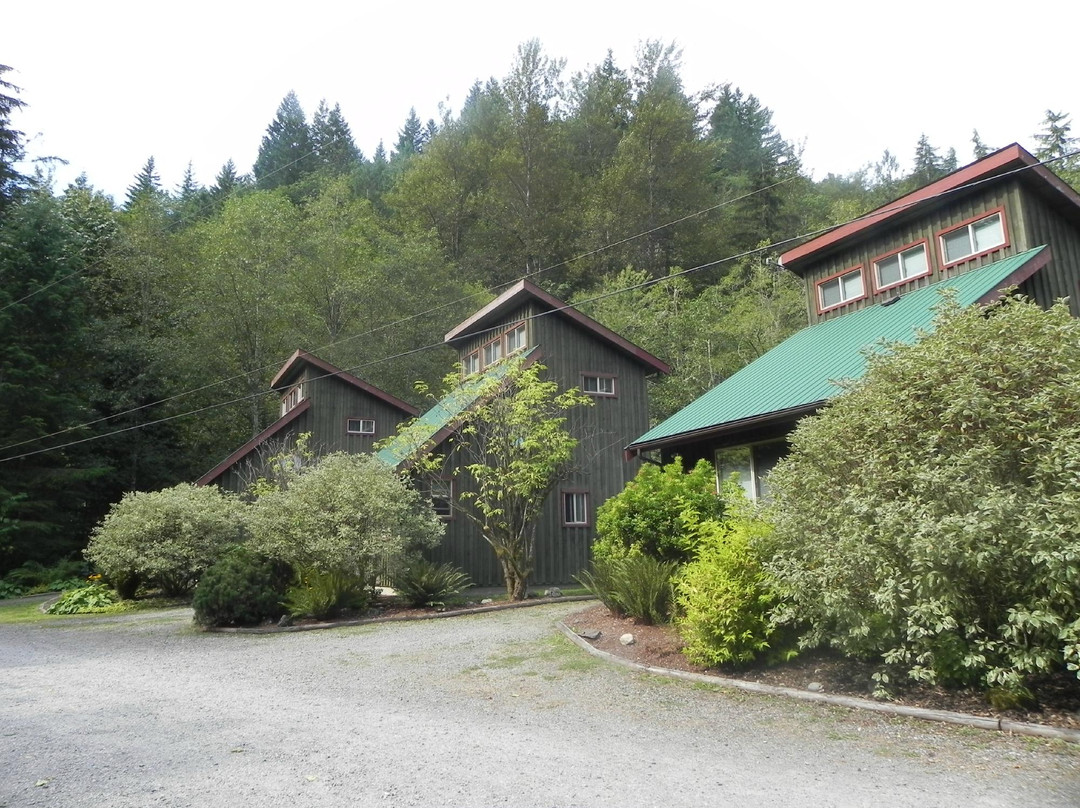 Forest Echoes Cabins