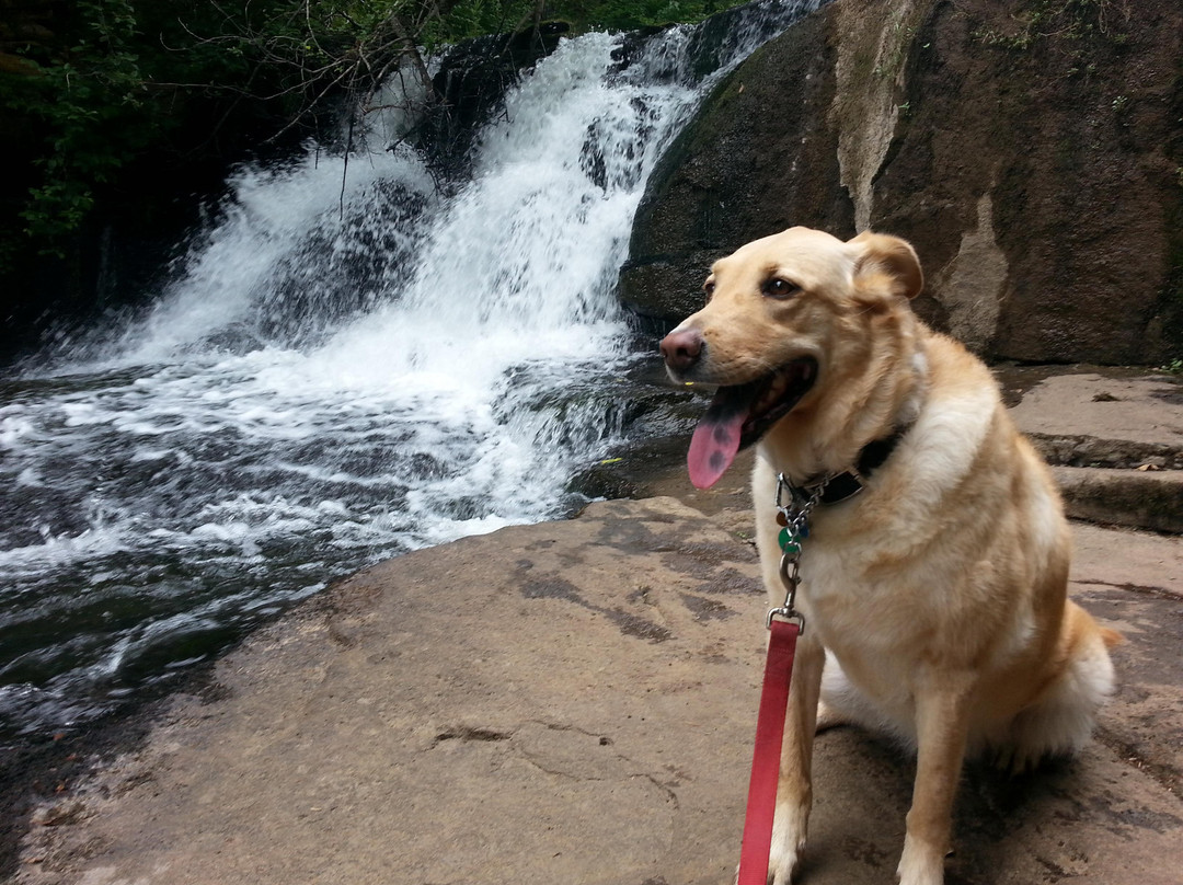 Alsea Falls Recreation Site-Alsea必去景点