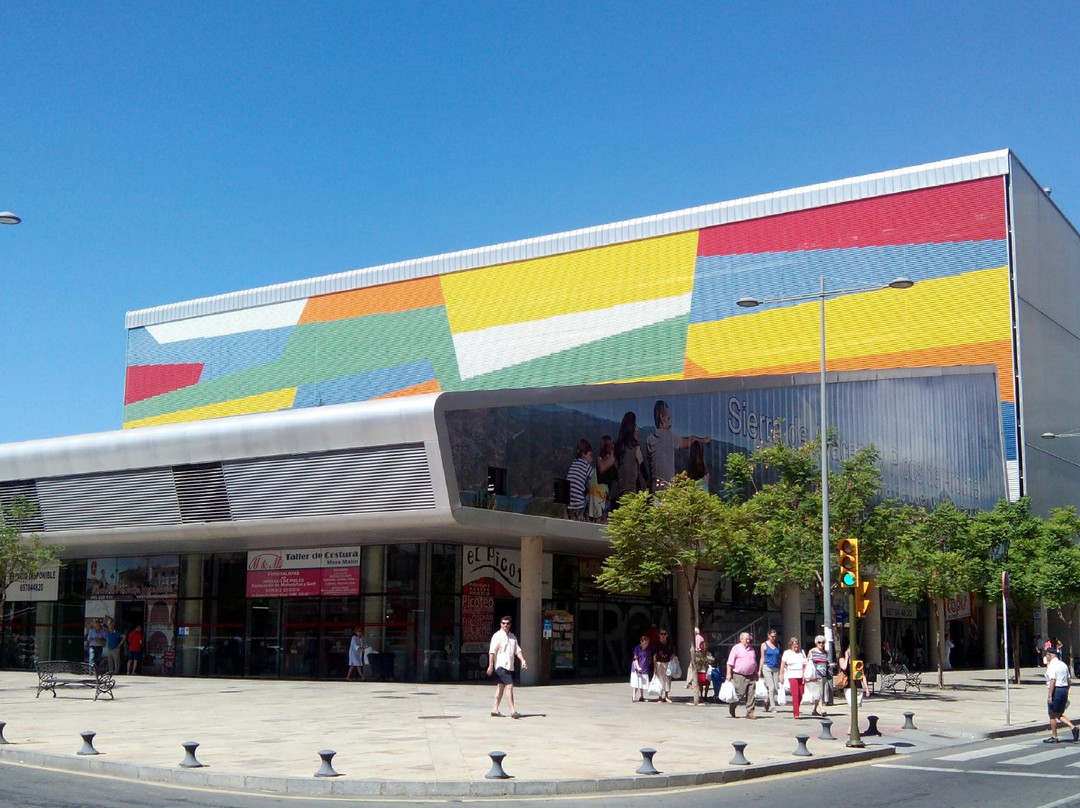 Nuevo Mercado Del Carmen景点图片