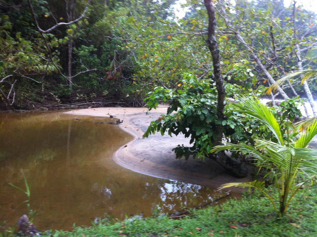 Khao Lak-Lam Ru National Park景点图片