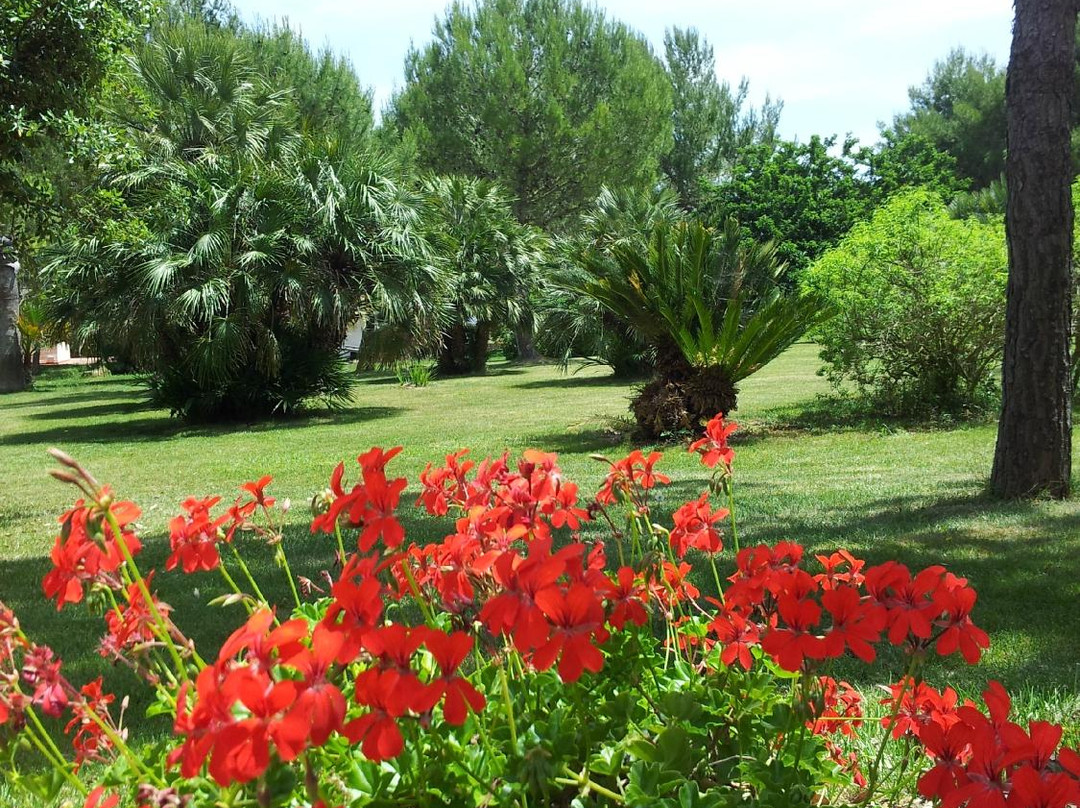 Agriturismo Torrevecchia