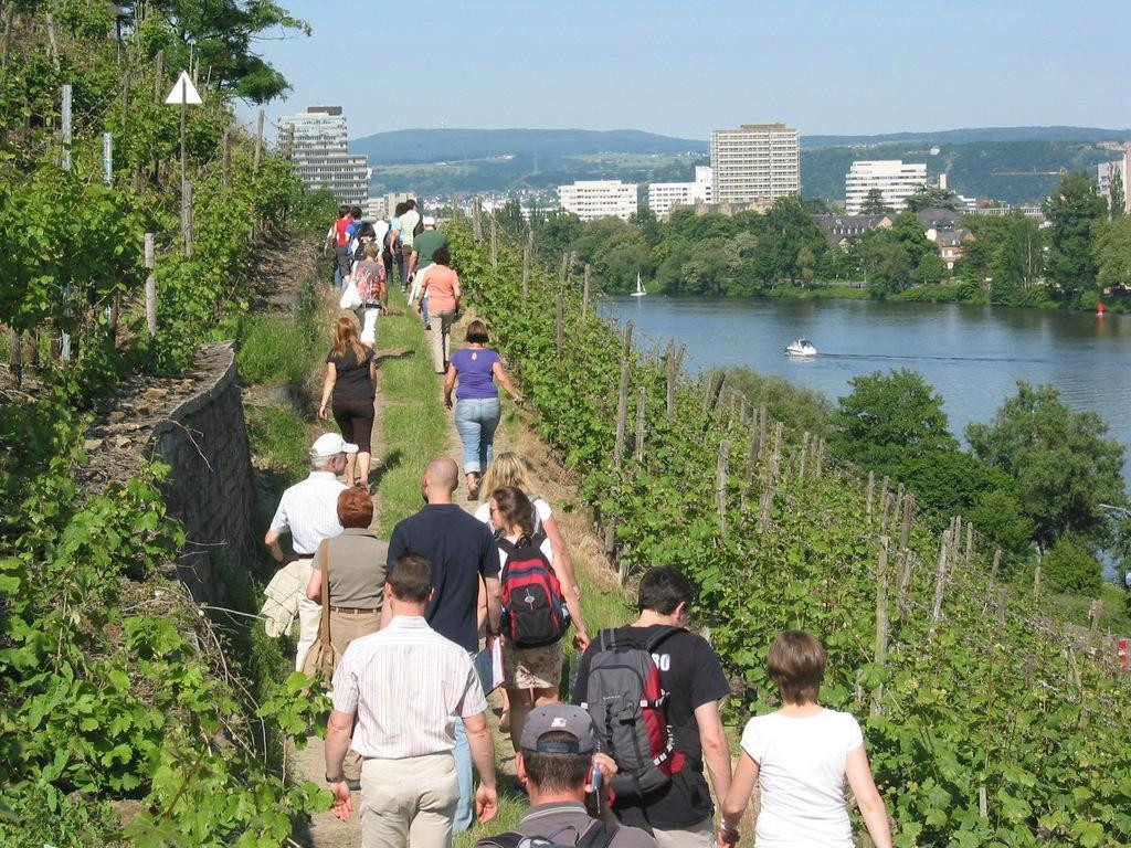 Weingut Schwaab景点图片