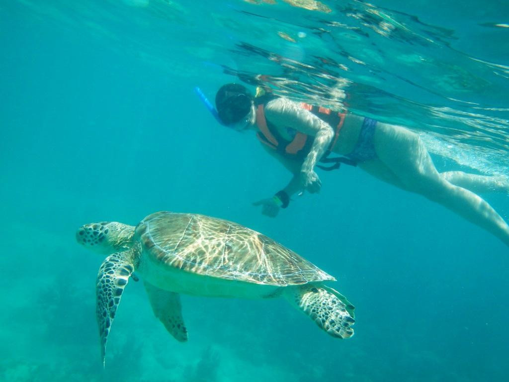 Akumal Ecological Guides景点图片
