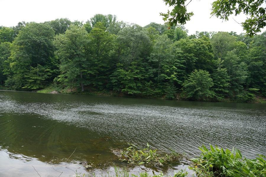 Morgan-Monroe State Forest-Martinsville必去景点