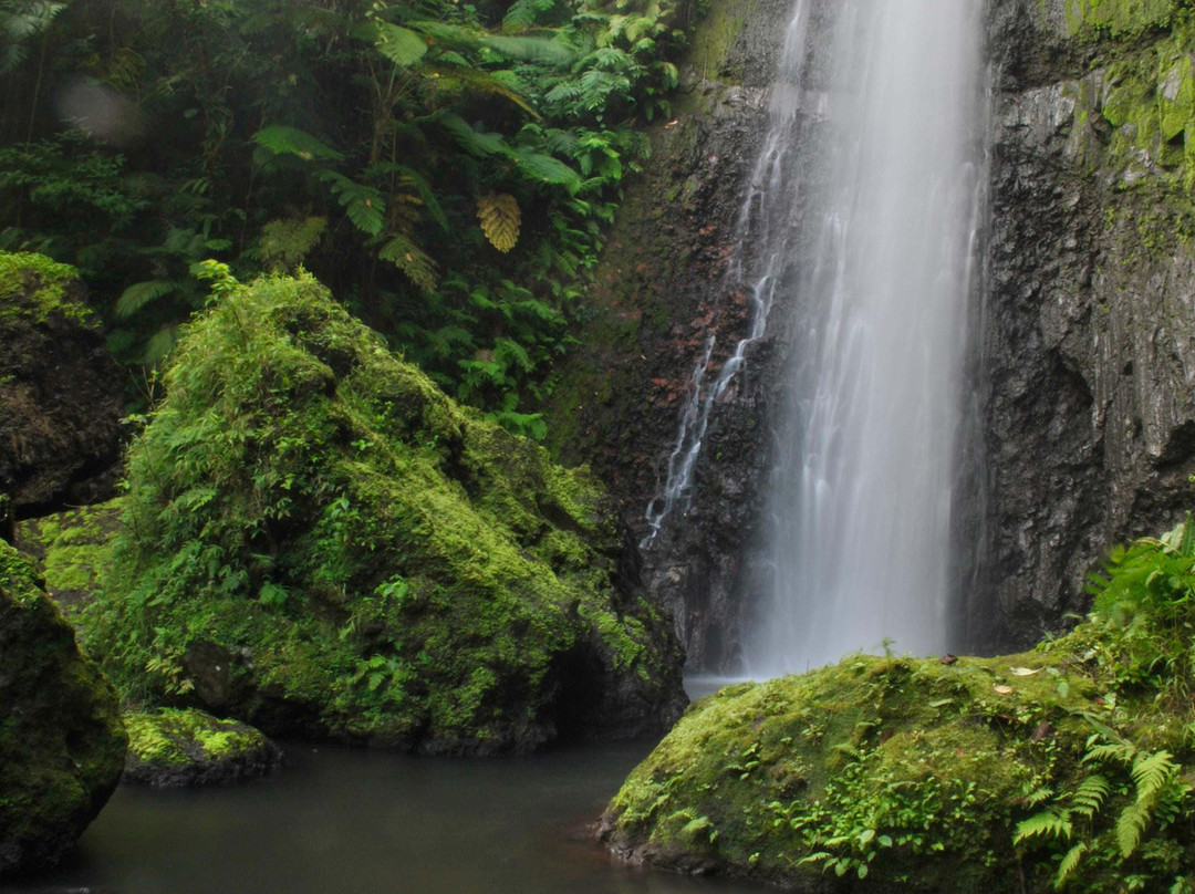 Lenuanatuaiu Waterfall-塔纳岛必去景点