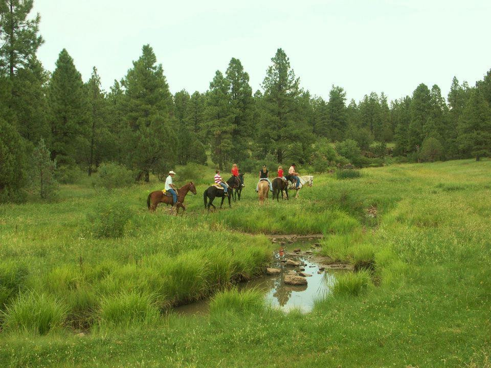 Porter Mountain Stables-Pinetop-Lakeside必去景点