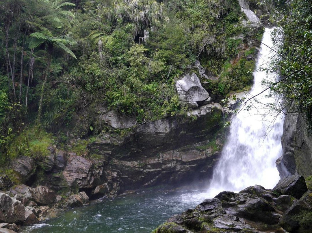 Wainui Falls Track-Abel Tasman National Park必去景点