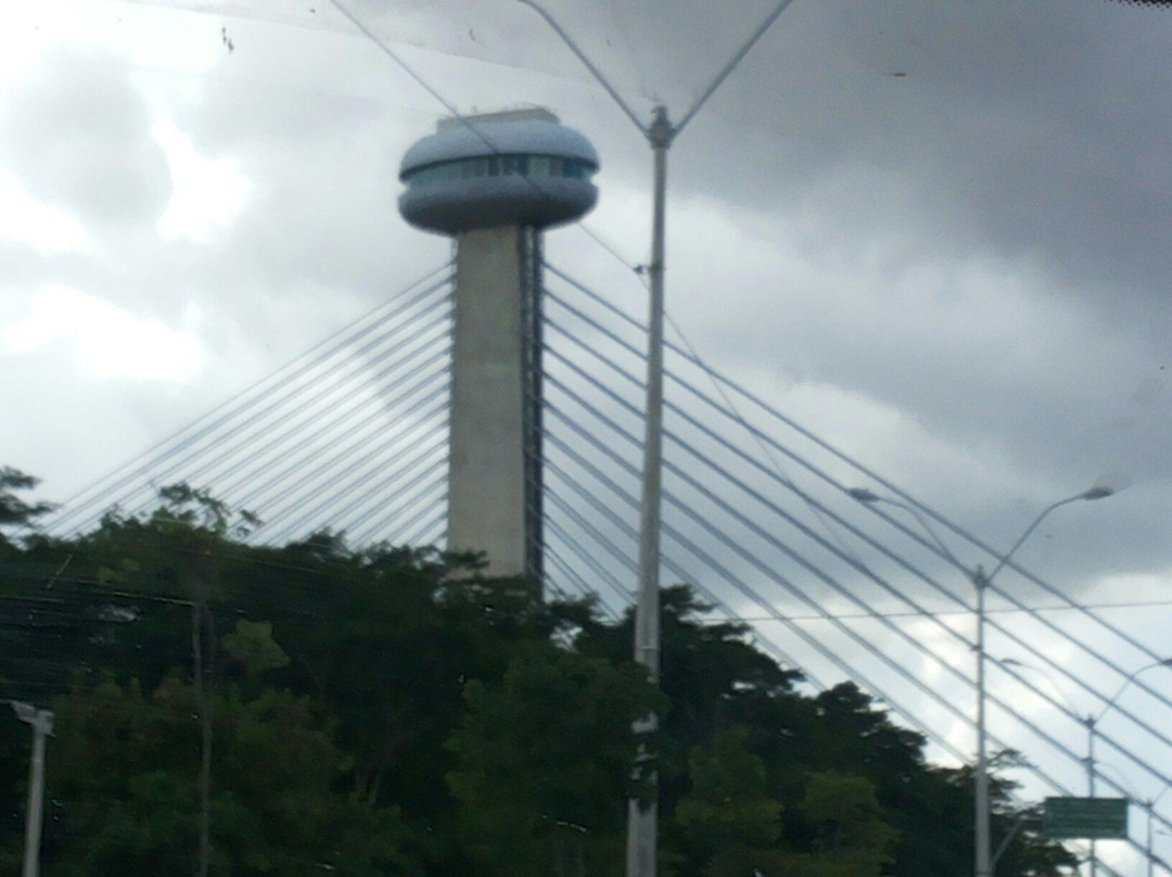 Ponte Estaiada景点图片
