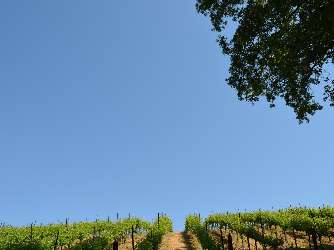 Robert Keenan Winery景点图片