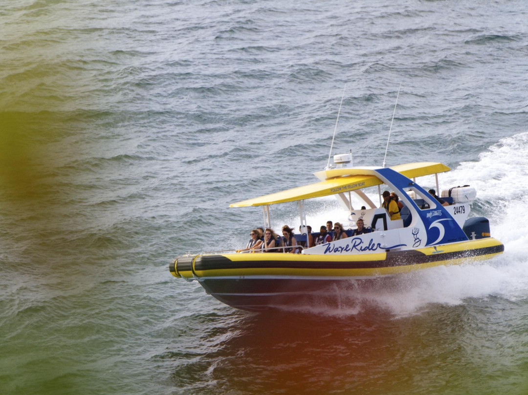 Port Jet Cruise Adventures-麦克夸利港必去景点