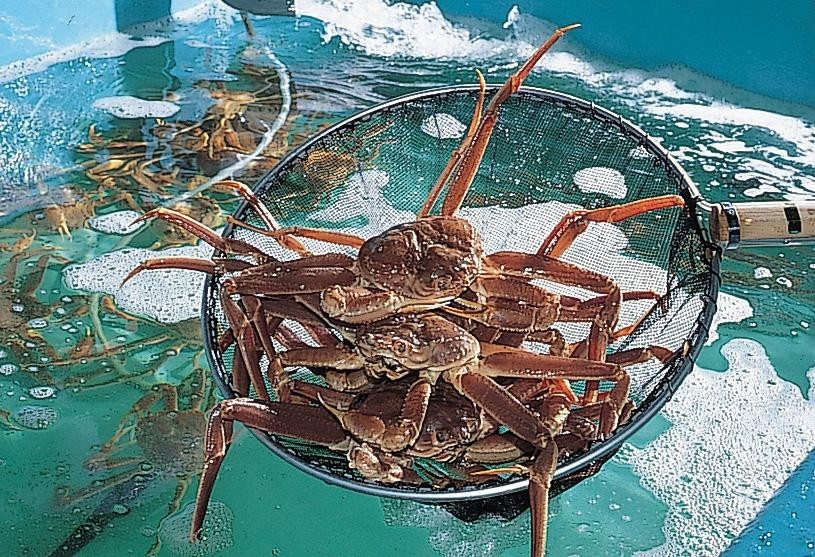 レストラン海鮮料理 かに家