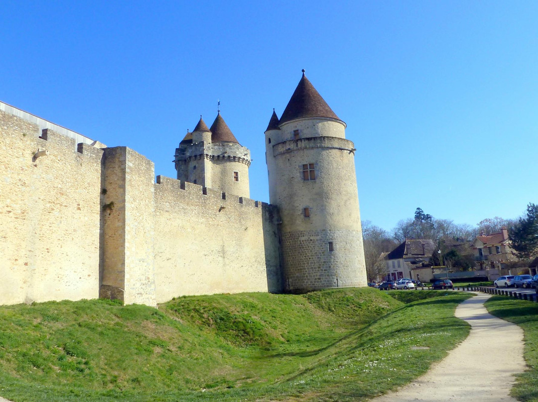 Château de Blandy-les-Tours景点图片