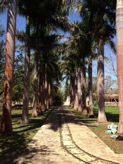 Hacienda Ochil景点图片