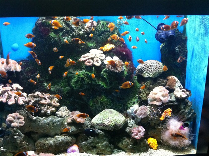 大连自然博物馆-大连市必去景点