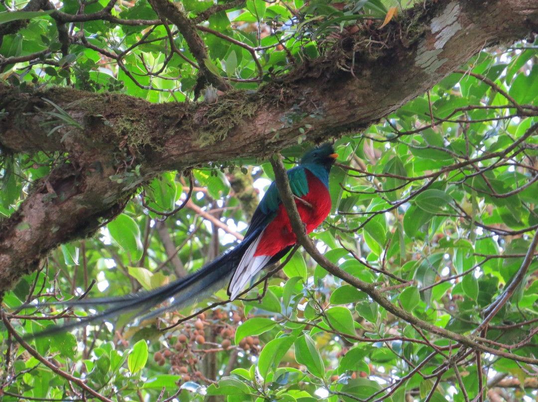Johnny Loves Nature Eco Tours-蒙特沃德必去景点