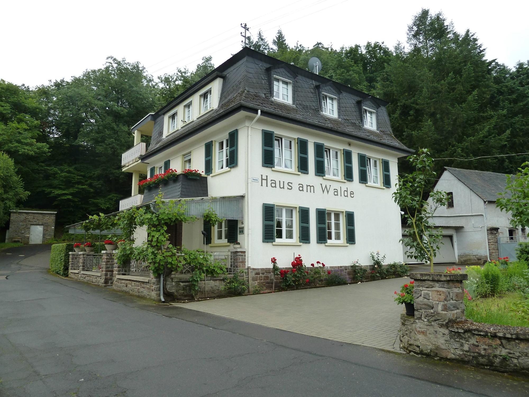 Pension Haus Am Walde Brodenbach Mosel-浴室