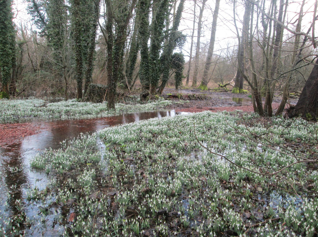 Welford Park-Wickham必去景点