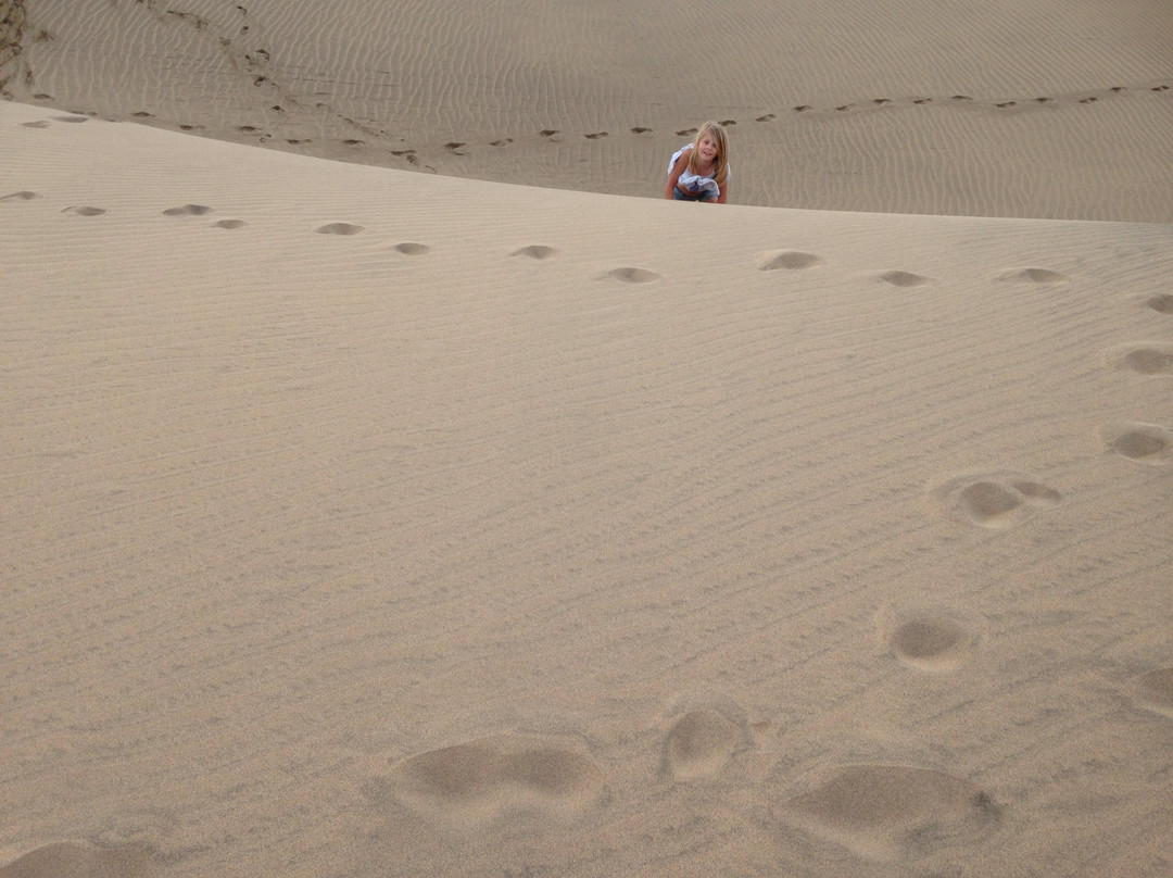 Reserva Natural Especial de Las Dunas de Maspalomas景点图片