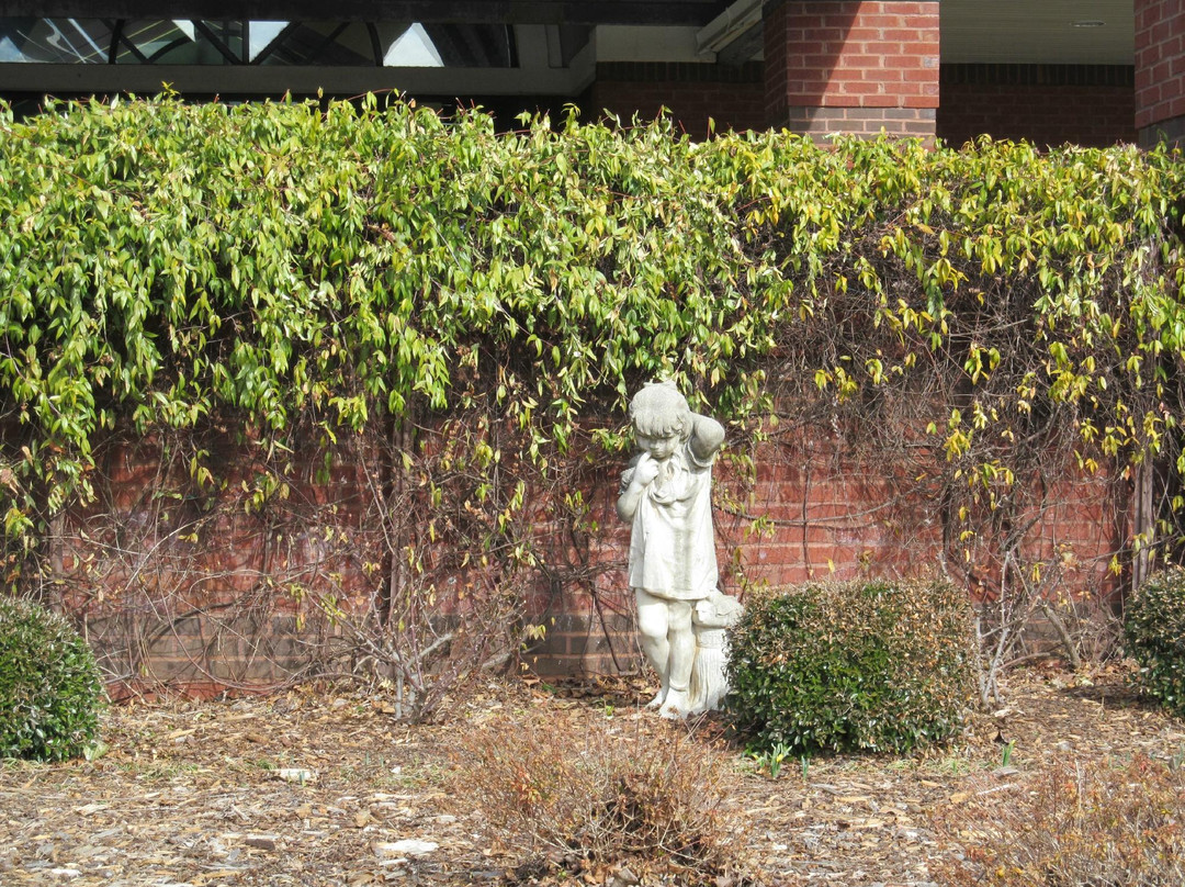 Madison Public Library-Madison必去景点