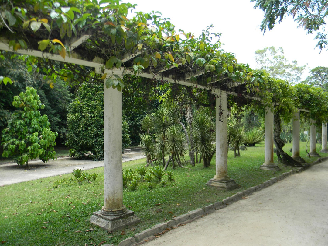 Botanical Garden景点图片