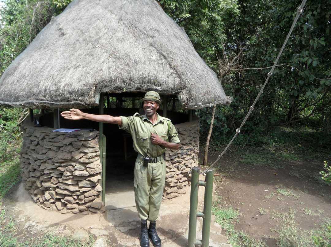 Kingi Safaris - Private Day Tours景点图片