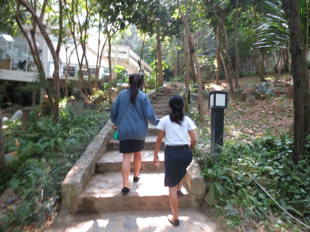 Thailand Sea and Natural History Museum景点图片