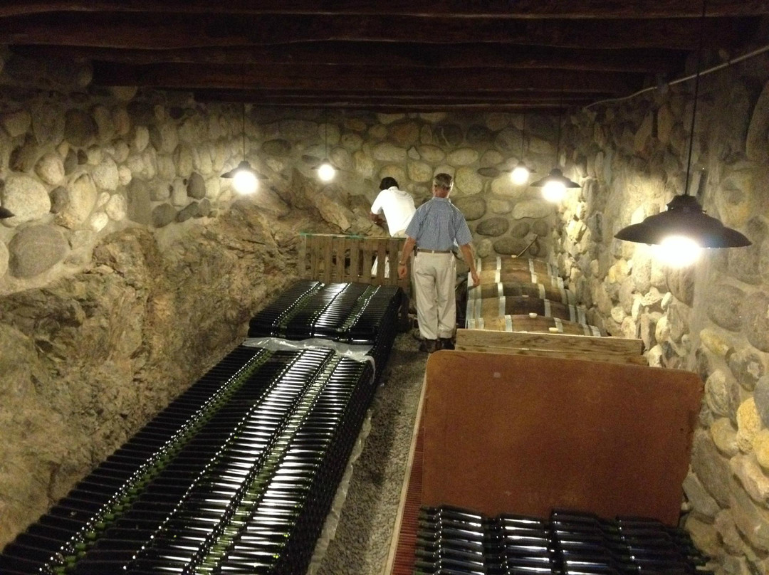 Bodega El Molino de Cachi Winery-卡奇必去景点