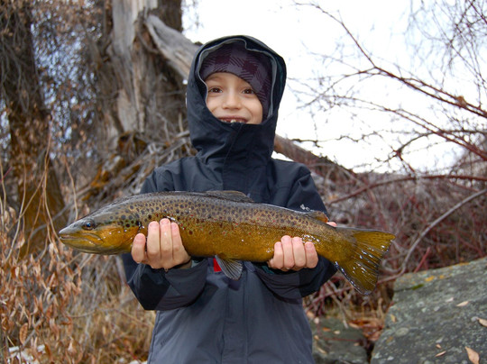 Provo River Guide Service - Private One Day Tours-Kamas必去景点