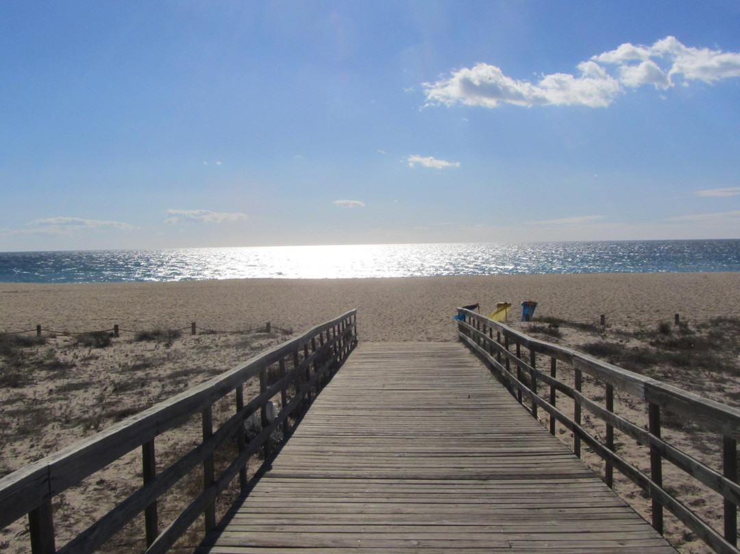 Praia da Falésia景点图片