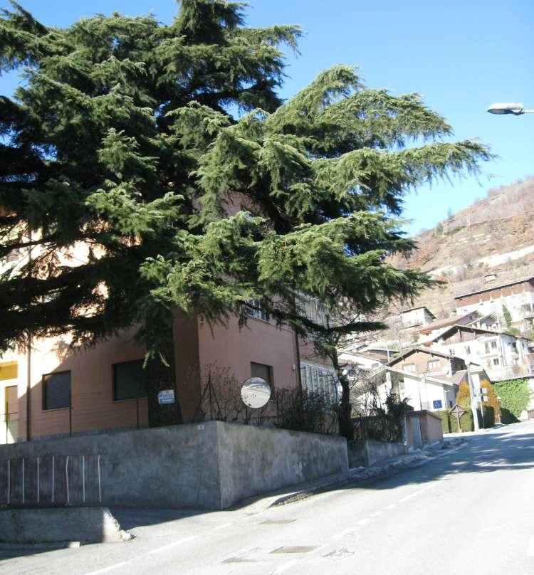 B&B Le Vieux Sapin主图