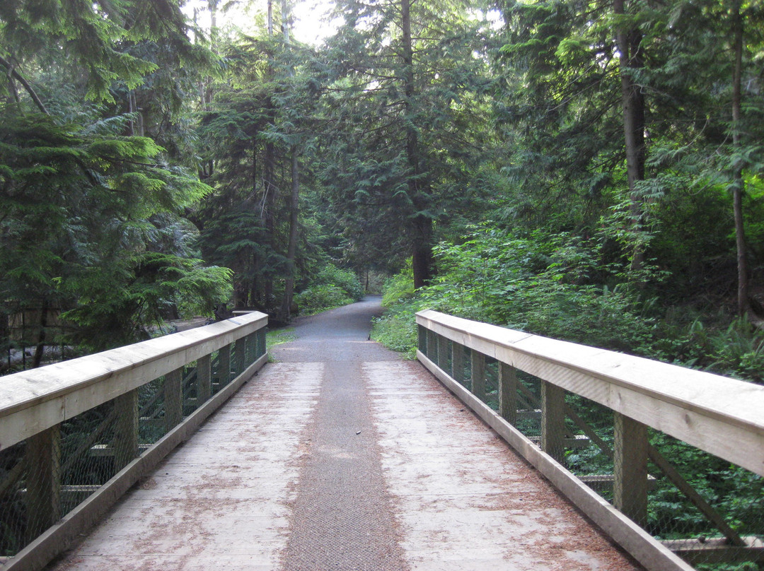 Willingdon Beach Trail-鲍威尔里弗必去景点