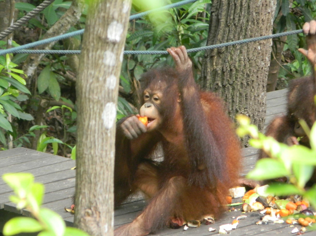 Rasa Ria Reserve By Shangri-la-斗亚兰必去景点