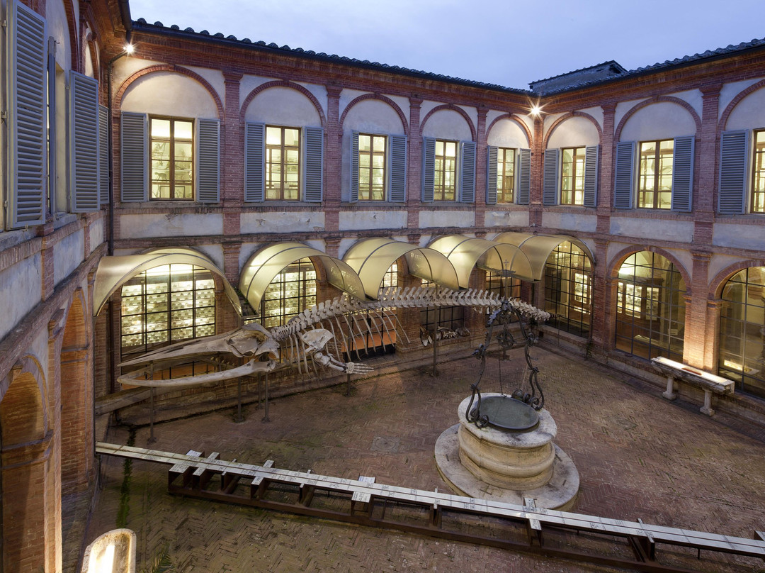 Museo di Storia Naturale dell'Accademia dei Fisiocritici-锡耶纳必去景点