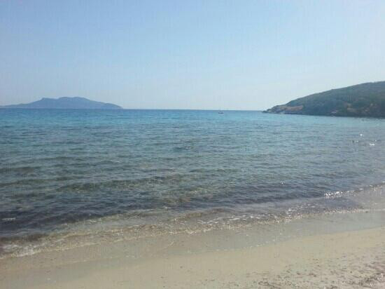 Spiaggia Pittulongu - La Playa-奥尔比亚必去景点