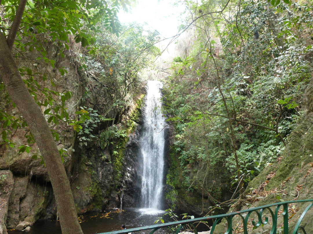 Los Chorros Park景点图片