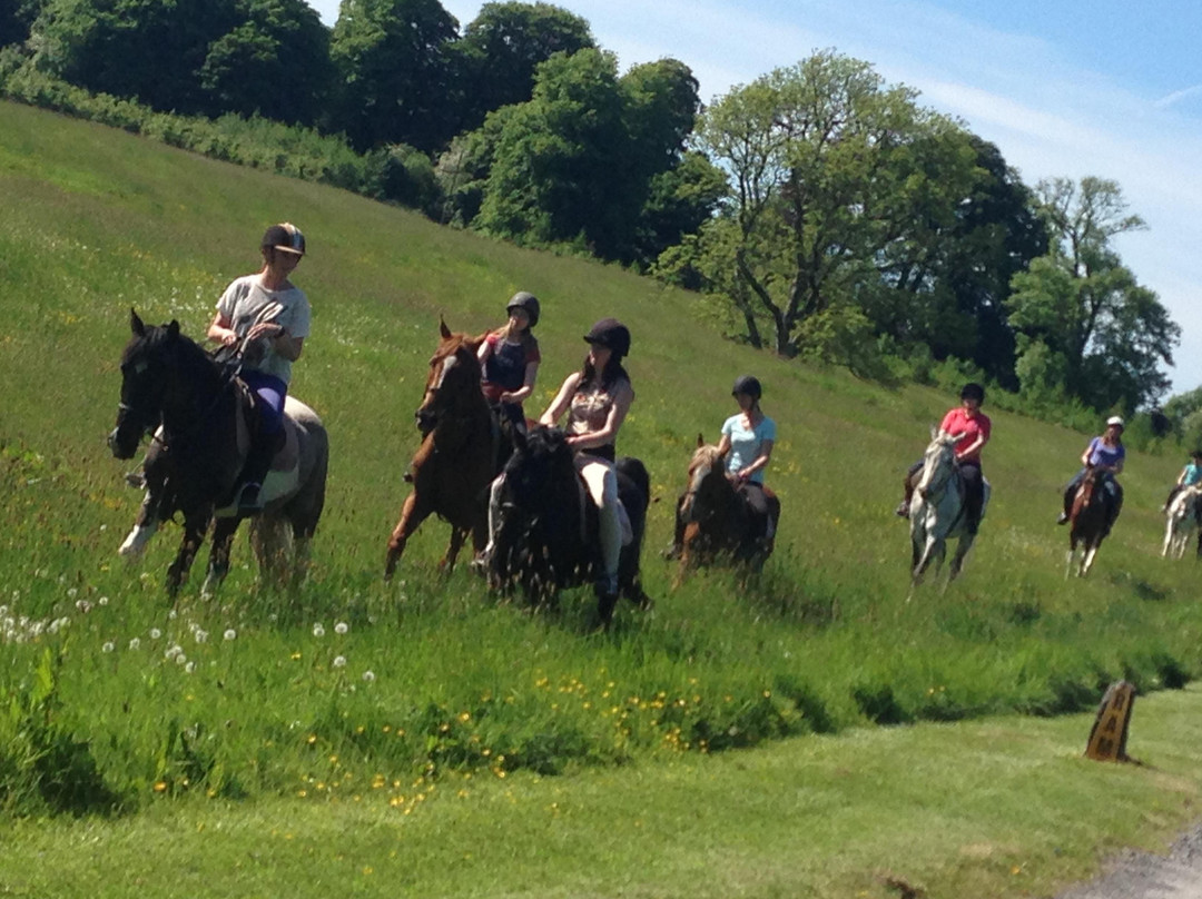 Markree RIding Stables-Collooney必去景点
