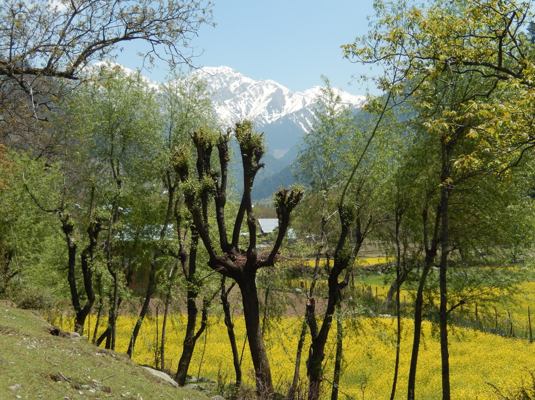Avantiswami Temple-Awantipora必去景点