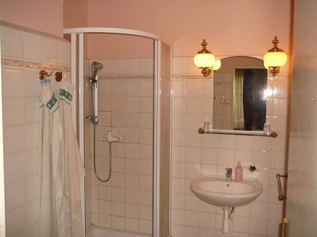 Hotel Green House Teplice主图