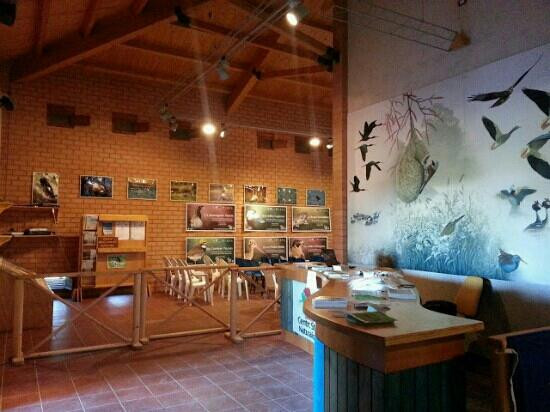 Salty Lake Oasis景点图片