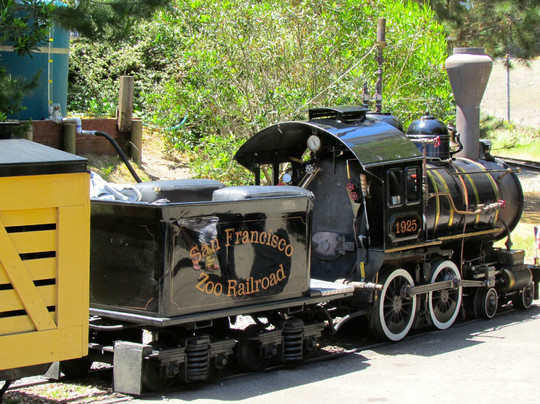 旧金山动物园-旧金山必去景点