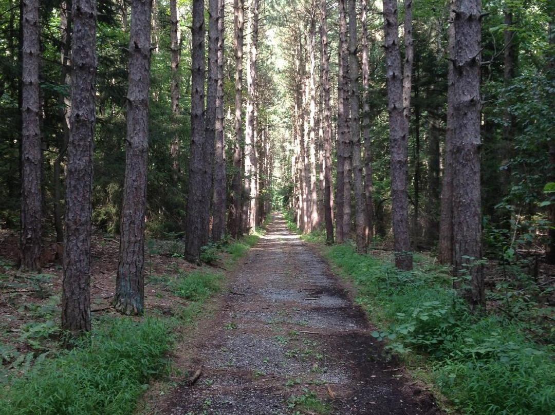 Nolde Forest Environmental Education Center景点图片