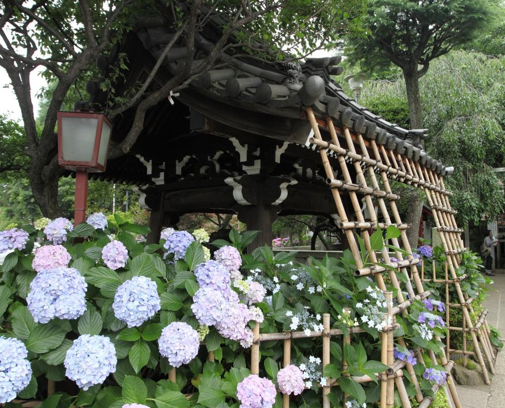 白山神社景点图片