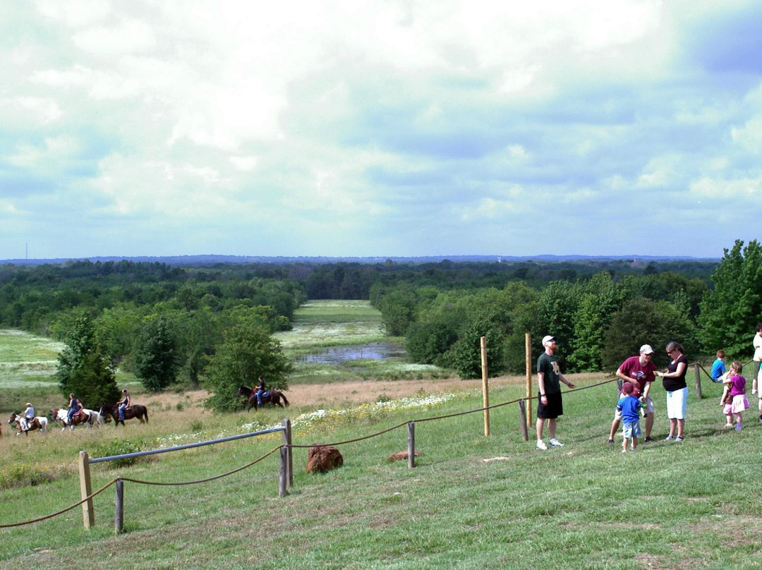 Mineola Nature Preserve-Mineola必去景点